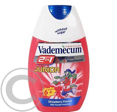 Vademecum 2v1 Junior Jahoda 75ml zubní pasta