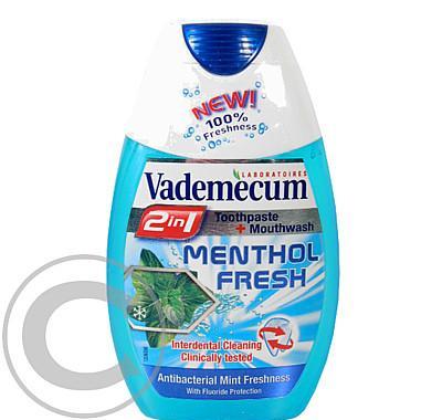 Vademecum 2v1 Menthol Fresh 75ml zubní pasta