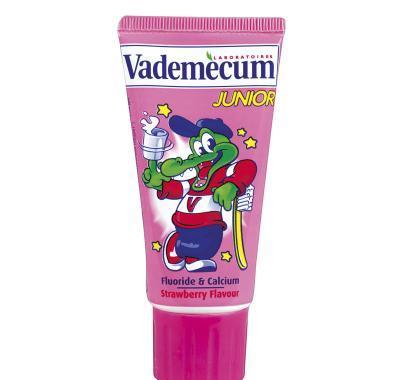 Vademecum zubní pasta Junior 50ml - jahoda