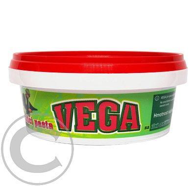 Vega čistící pasta na ruce 300g