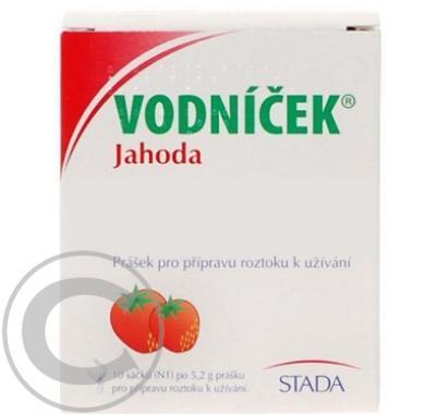 VODNÍČEK Jahoda sáčky 10 x 5.2 g