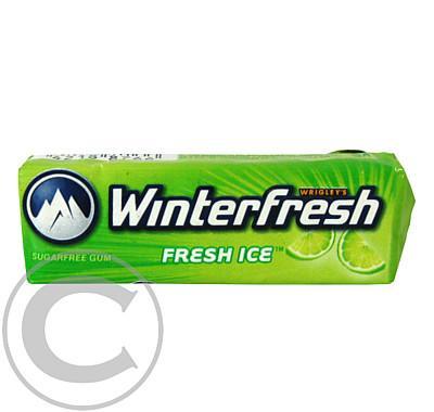 Winterfresh FRESH ICE 10 dražé, Winterfresh, FRESH, ICE, 10, dražé