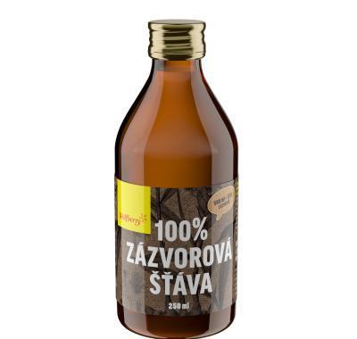 WOLFBERRY Zázvorová šťáva 250 ml, WOLFBERRY, Zázvorová, šťáva, 250, ml