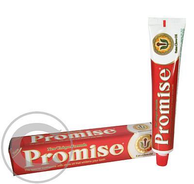 Zubní pasta Promise 150g, Zubní, pasta, Promise, 150g